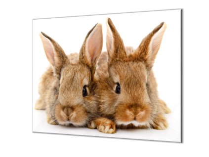 Ochranná deska dva roztomilí králici (Lepení na zeď S lepením na zeď, Rozměr 70x70 cm)