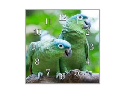 Nástěnné hodiny 30x30cm papoušek amazoňan (Materiál kalené sklo)
