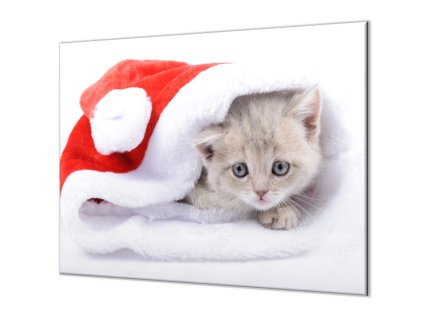 Ochranná deska čepice Santy a malé kotě (Lepení na zeď S lepením na zeď, Rozměr 70x70 cm)