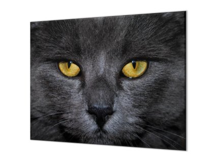 Ochranná deska detail obličeje černá kočka (Lepení na zeď S lepením na zeď, Rozměr 70x70 cm)