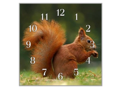 Nástěnné hodiny 30x30cm veverka (Materiál kalené sklo)
