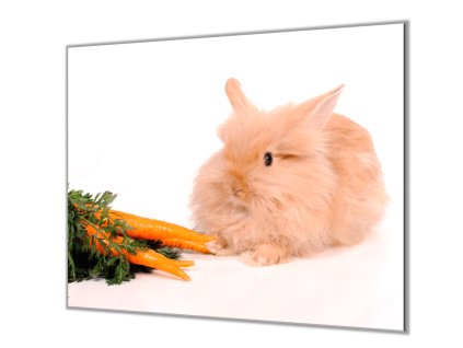 Ochranná deska domácí králíček s mrkví (Lepení na zeď S lepením na zeď, Rozměr 70x70 cm)