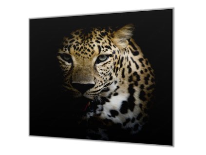 Ochranná deska šelma leopard černé pozadí (Lepení na zeď S lepením na zeď, Rozměr 70x70 cm)