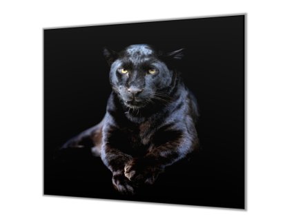 Ochranná deska šelma černý leopard (Lepení na zeď S lepením na zeď, Rozměr 70x70 cm)