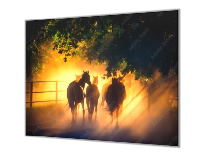 Ochranná deska silueta koní v západu slunce (Lepení na zeď S lepením na zeď, Rozměr 70x70 cm)