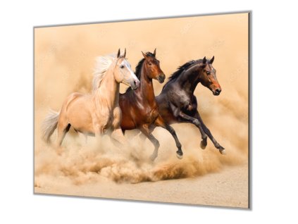 Ochranná deska tři koně v prachu (Lepení na zeď S lepením na zeď, Rozměr 70x70 cm)