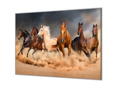 Ochranná deska stádo koní v prachu (Lepení na zeď S lepením na zeď, Rozměr 70x70 cm)