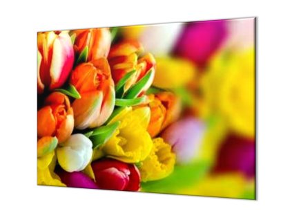 Ochranná deska květy barevných tulipánů (Lepení na zeď S lepením na zeď, Rozměr 70x70 cm)