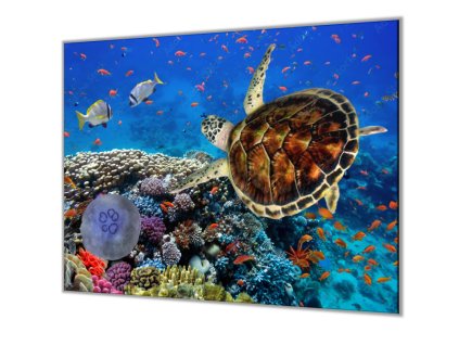 Ochranná deska sklo motiv mořský svět (Lepení na zeď S lepením na zeď, Rozměr 70x70 cm)