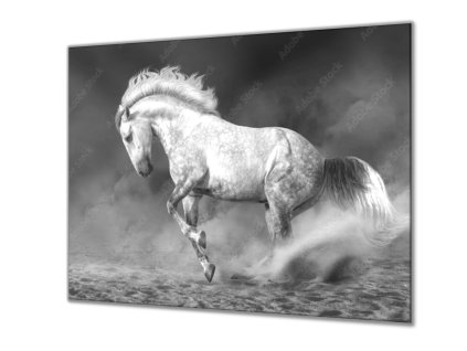 Ochranná deska šedý kůň grošák (Lepení na zeď S lepením na zeď, Rozměr 70x70 cm)