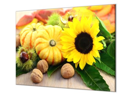 Ochranná deska dekorace podzimní plody (Lepení na zeď S lepením na zeď, Rozměr 70x70 cm)