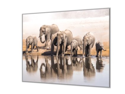 Ochranná deska ze skla stádo slonů (Lepení na zeď S lepením na zeď, Rozměr 70x70 cm)