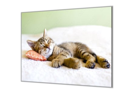 Ochranná deska do kuchyně spící kotě (Lepení na zeď S lepením na zeď, Rozměr 70x70 cm)