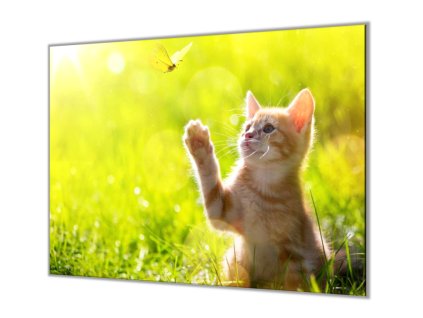 Ochranná deska do kuchyně kotě a motýl (Lepení na zeď S lepením na zeď, Rozměr 70x70 cm)