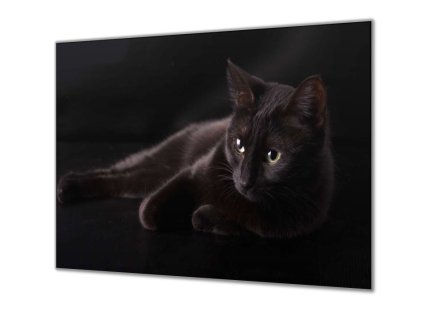 Ochranná deska černá kočka na černém podkladu (Lepení na zeď S lepením na zeď, Rozměr 70x70 cm)
