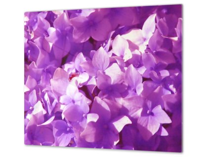 Ochranná deska květy fialový šeřík (Lepení na zeď S lepením na zeď, Rozměr 70x70 cm)