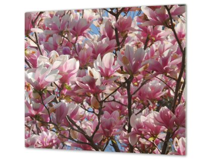 Ochranná deska květy magnolie (Lepení na zeď S lepením na zeď, Rozměr 70x70 cm)