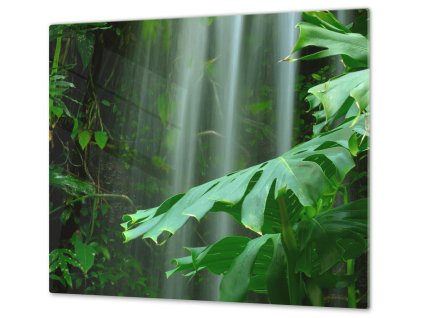 Ochranná deska list deštný prales (Lepení na zeď S lepením na zeď, Rozměr 70x70 cm)