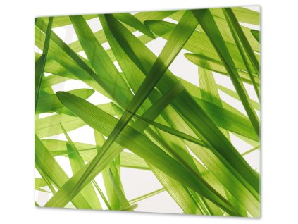 Ochranná deska detail listy trávy abstrakt (Lepení na zeď S lepením na zeď, Rozměr 70x70 cm)