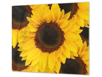 Ochranná deska květy slunečnice (Lepení na zeď S lepením na zeď, Rozměr 70x70 cm)
