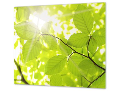 Ochranná deska slunce mezi listím (Lepení na zeď S lepením na zeď, Rozměr 70x70 cm)