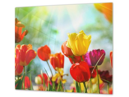 Ochranná deska barevné tulipány (Lepení na zeď S lepením na zeď, Rozměr 70x70 cm)