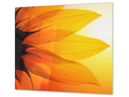 Ochranná deska malovaný detail květ slunečnice (Lepení na zeď S lepením na zeď, Rozměr 70x70 cm)