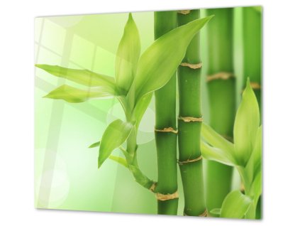 Ochranná deska bambus listy (Lepení na zeď S lepením na zeď, Rozměr 70x70 cm)