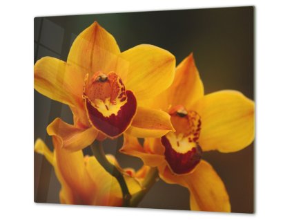 Ochranná deska květy sytě žluté orchideje (Lepení na zeď S lepením na zeď, Rozměr 70x70 cm)