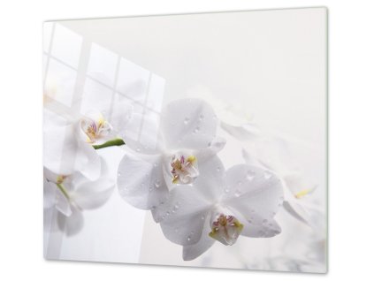 Ochranná deska  květy bílá orchidej (Lepení na zeď S lepením na zeď, Rozměr 70x70 cm)