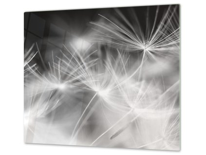 Ochranná deska do kuchyně černo bílé chmýří (Lepení na zeď S lepením na zeď, Rozměr 70x70 cm)