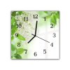 Nástěnné hodiny 30x30cm bílý šeřík a zelené listí na bílém pozadí (Materiál kalené sklo)
