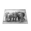Skleněné prkénko stádo slonů (Prkénko 40x30cm)