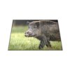 Skleněné prkénko myslivecký vzor divoké prase (Prkénko 40x30cm)
