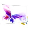 Metalová magnetická tabule - motýl (Rozměr 90 x 60 cm)