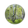 Nástěnné hodiny kulaté pr.30cm břízový les (Materiál kalené sklo)