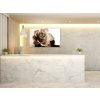 Obraz skleněný květ růže - slonová kost (Rozměry-obdélník 90 x 120 cm)