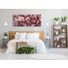 Obraz skleněný keř a květy růžové magnolie (Rozměry-obdélník 90 x 120 cm)