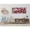 Obraz skleněný keř a květy růžové magnolie (Rozměry-obdélník 90 x 120 cm)