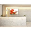 Obraz skleněný květy vlčí máky na bílém pozadí (Rozměry-obdélník 90 x 120 cm)