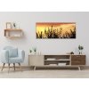 Obraz skleněný tráva v západu slunce (Rozměry-obdélník 90 x 120 cm)