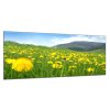 Obraz skleněný rozkvetlá louka (Rozměry-obdélník 90 x 120 cm)