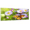 Obraz skleněný luční květy s motýlem (Rozměry-obdélník 90 x 120 cm)