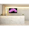Obraz skleněný květy fialová orchidej na černém pozadí (Rozměry-obdélník 90 x 120 cm)