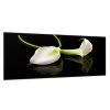 Obraz skleněný bílá kala na černém pozadí (Rozměry-obdélník 90 x 120 cm)