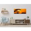 Obraz skleněný západ slunce Afrika Keňa (Rozměry-obdélník 90 x 120 cm)