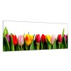 Obraz skleněný barevné tulipány (Rozměry-obdélník 90 x 120 cm)