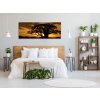 Obraz skleněný západ slunce Afrika Tanzanie (Rozměry-obdélník 90 x 120 cm)