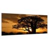 Obraz skleněný západ slunce Afrika Tanzanie (Rozměry-obdélník 90 x 120 cm)