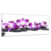 Obraz skleněný květy fialová orchidej a kámen (Rozměry-obdélník 90 x 120 cm)